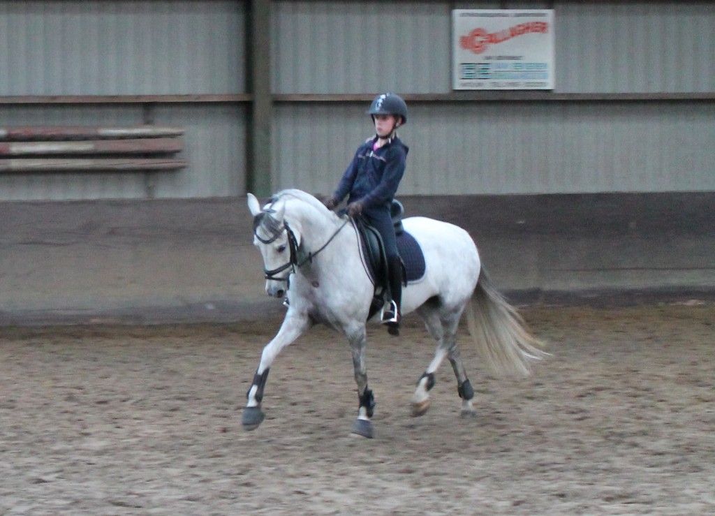 Coco Soffers met Globals Don't forget me tijdens de training