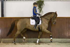 Cerona (v Santano x Jazz)